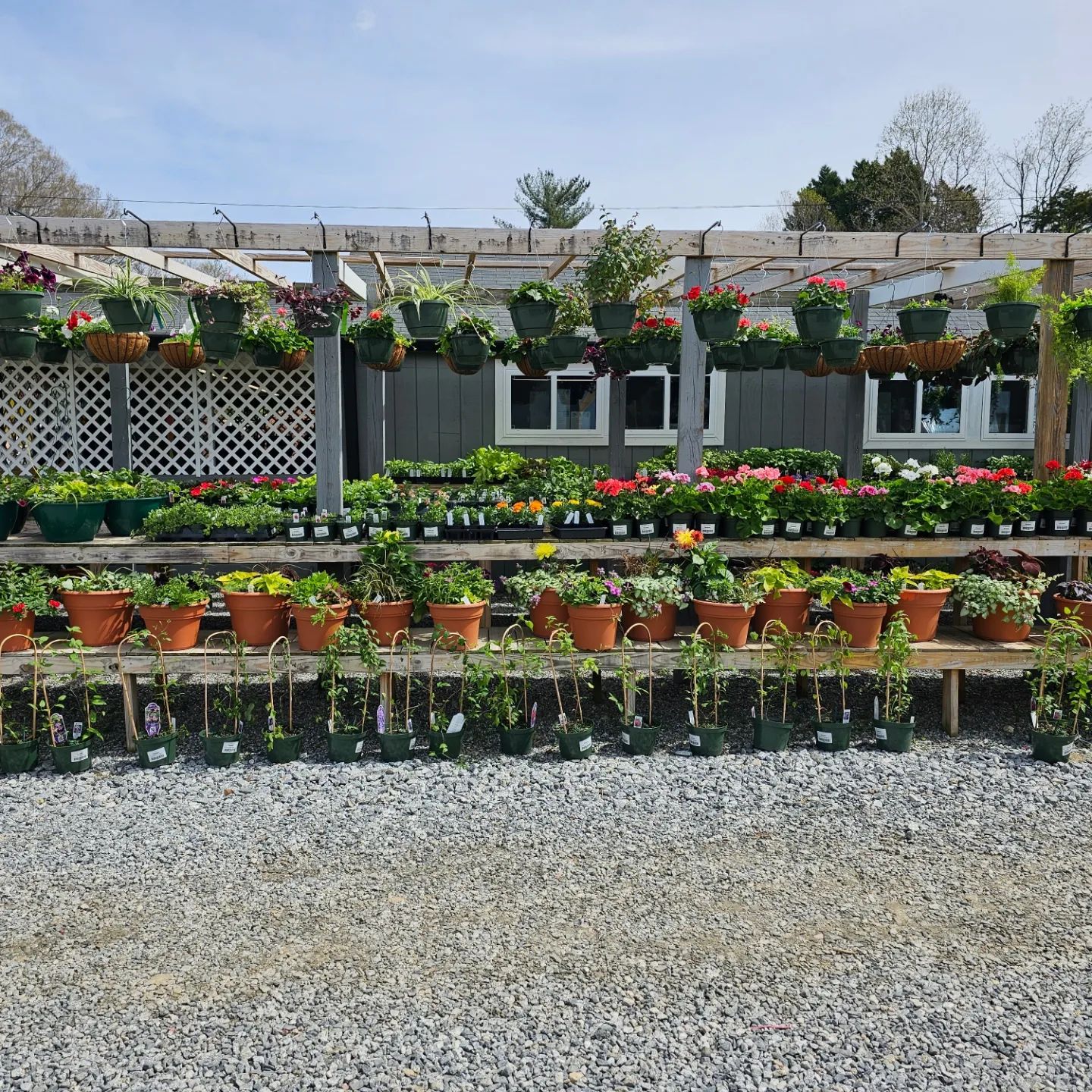 Greenhouse Garden Center & Nursery, Kernersville Triad NC